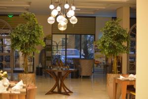 亚喀巴City Tower Hotel的一间有桌子和两棵盆栽树的商店