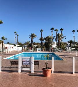 普拉亚布兰卡Casa Beatriz的一个带两个长椅和棕榈树的游泳池