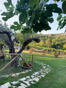 蒙特西尔瓦诺Villa Sarno的公园里的树,带游乐场