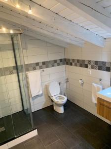 埃洛里奥Caserio en Elorrio的浴室配有卫生间、淋浴和盥洗盆。