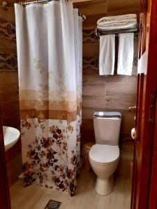 弗赖安娜根尼希斯酒店的一间带卫生间和淋浴帘的浴室