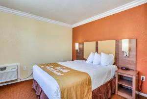 棕榈泉棕榈泉戴斯酒店的酒店客房,设有一张带橙色墙壁的大床
