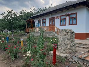 ChişcăreniPensiunea turistica "Casa rustica"的前面有鲜花的院子的房子