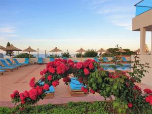 赫索尼索斯Saradari Beach Hotel - Adults Only的度假村庭院里的一束红花