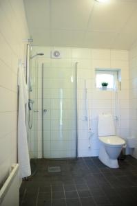阿灵索斯Alingsås Golfklubb的一间带卫生间和玻璃淋浴间的浴室