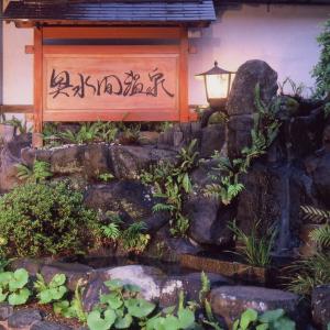 贝冢市奥水間温泉酒店的一个带岩石瀑布和灯笼的花园