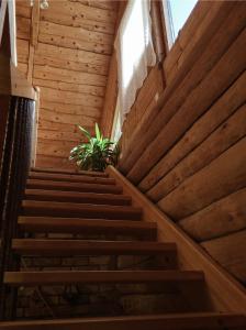 ČiuiniukaiNamelis Atokvėpis的木结构建筑中的一个楼梯,