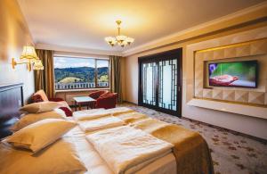 维斯瓦格勒比斯基维斯拉酒店的一间酒店客房,设有一张大床和一个大窗户