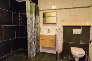 SchimmertValkenhof Schimmert的浴室配有卫生间、盥洗盆和淋浴。