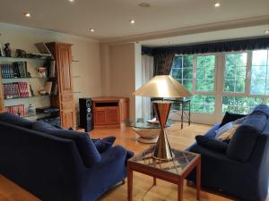 苏安塞斯VILLA OSTRERA的客厅配有2张蓝色的沙发和1盏灯。