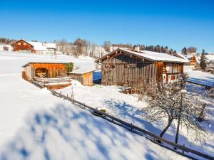 NiedersonthofenLandsitz Rocky Docky的雪地小屋,有雪覆盖的地面