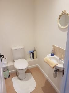 布拉克内尔Binfield Annexe的一间带卫生间和水槽的浴室