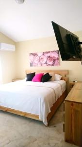 圣地亚哥洛斯卡巴Verde Bonavita的卧室配有一张床铺,墙上配有电视