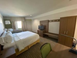 加尔维斯敦加尔维斯顿西海堤快捷假日酒店的配有一张床和一台平面电视的酒店客房