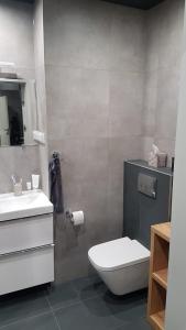 奥普尔Apartament Marzenie 14 - Opole的浴室配有白色卫生间和盥洗盆。