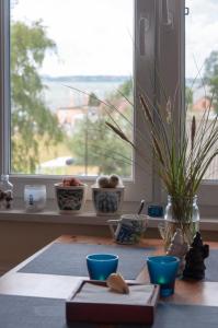 查普伊Villa Baltic 14 Chałupy的一张桌子,上面有蓝色的杯子,窗户上有植物