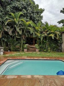 穆西纳Lifestyle Corner Guesthouse的棕榈树屋前的游泳池