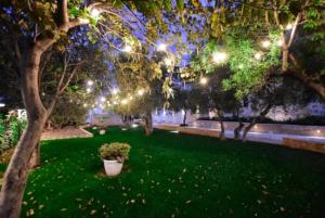 焦维纳佐Hotel Torre Domini的夜间在草地上种有盆栽植物的公园