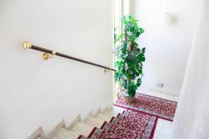 波里奥特米米兰酒店的楼梯边的植物
