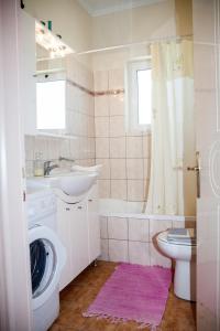 雷夫卡达镇Maria Apartments的一间带水槽和洗衣机的浴室