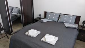鲍里斯皮尔Fly Up Home apartment的一间卧室配有一张床,上面有两条毛巾