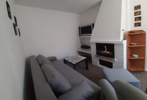 佩济诺克SAUNA Dom的带沙发和壁炉的客厅