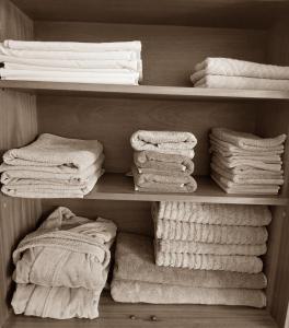 佩济诺克SAUNA Dom的衣柜里装满了毛巾和折叠毛巾