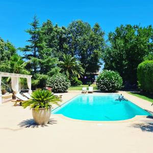 马科普隆弗拉罗纳塔套房别墅的一座树木繁茂的庭院内的游泳池