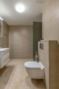 塔尔图Gustav Apartments - City Center Comfort的一间带卫生间和水槽的浴室