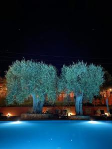 罗迪-加尔加尼科波吉欧德格里乌里维度假酒店的两棵树在晚上点亮,灯光蓝色
