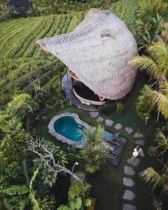 希德门Veluvana Bali的小屋的空中景致,设有游泳池