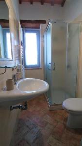 RoccalbegnaPodere Sant'Angelo的带淋浴、盥洗盆和卫生间的浴室