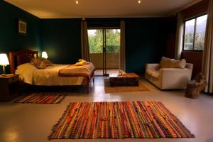 圣何塞德迈波Lodge del Maipo的一间卧室配有一张床、一把椅子和地毯