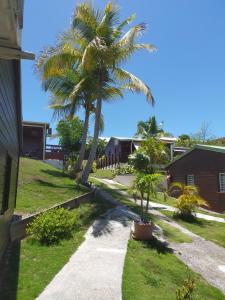 圣安尼Ti Village Creole的房子旁的院子中的棕榈树