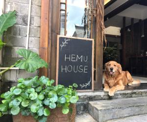 凤凰凤凰古城Hemu House的坐在大麻屋门口的狗