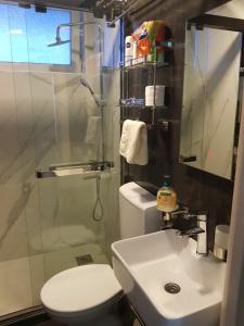 大格拉迪什泰Apartman Nikolic的浴室配有卫生间、盥洗盆和淋浴。