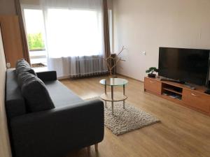 ĒrgļiErgli Apartment的带沙发和平面电视的客厅
