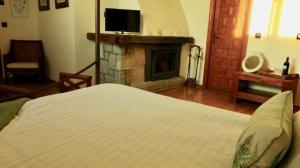 塞尔塞迪利亚纳瓦梅迪奥酒店的一间卧室配有一张床和一个壁炉