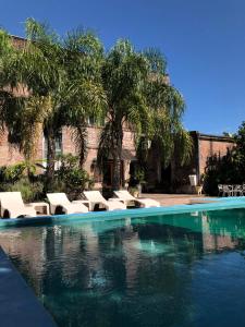 拉巴斯Hotel La Cautiva de Ramirez的一个带白色椅子和棕榈树的游泳池