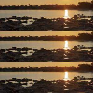 卡洛福泰帕乌拉酒店的黄昏和日出时河的两张照片