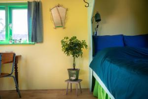迪温特Shanti B&B的一间卧室,配有蓝色的床和凳子上的植物