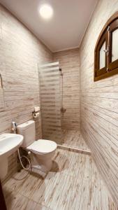 达哈布Penguin Village Dahab的浴室配有卫生间、盥洗盆和淋浴。