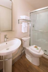 巴索尔特格林德莱克酒店的浴室配有卫生间、盥洗盆和淋浴。