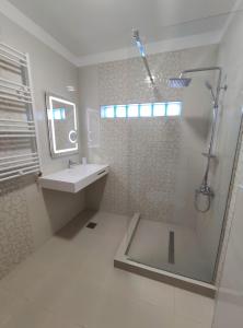 艾福雷诺德Regal Marine的带淋浴和盥洗盆的白色浴室