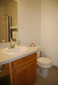GoldendalePonderosa Motel汽车旅馆的一间带水槽和卫生间的浴室