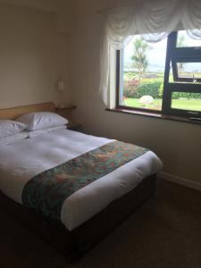 AllihiesBeach View Bed & Breakfast的一间卧室设有一张大床和窗户