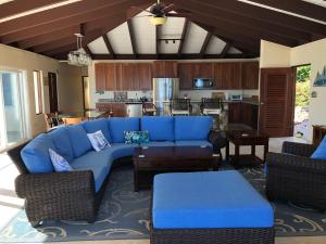 维尔京戈尔达岛SERENDIPITY的一间带蓝色沙发的客厅和一间厨房