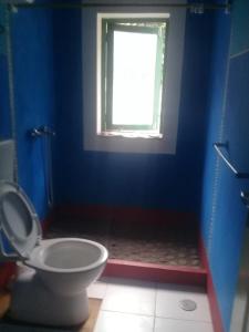 PaulMisurino的蓝色的浴室设有卫生间和窗户。