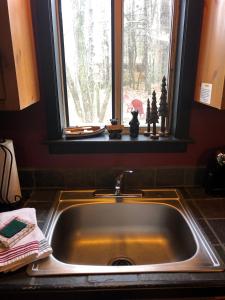 索蒂纳科奇Mountain-top Cabin Get-away with Hot tub and a View的带窗户的厨房内的盥洗盆
