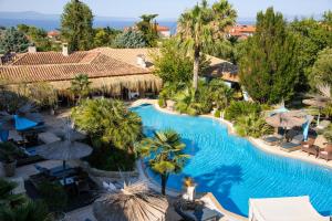 阿菲托斯Achtis Hotel的棕榈树度假村泳池的空中景致